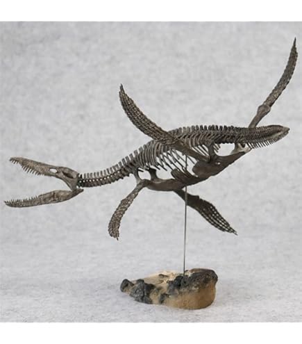 ヴェロキラプトル 骨格モデル No.001 ヴェロキラプトル 骨格モデル No.001 ヴェロキラプトル 骨格