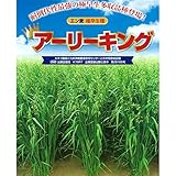 [夏～秋まき タネ]牧草種子：エン麦 アーリーキング 1kg＊ ノーブランド品