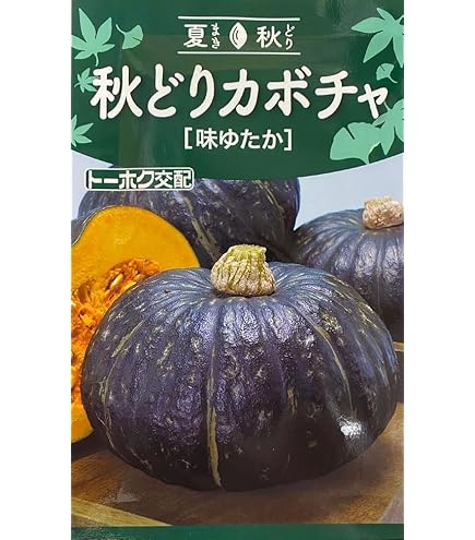 Amazon.co.jp: かぼちゃ 種 【 すずなりカボちゃん （鈴成錦2号