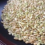 くず米・青米 5kg／鳥の餌、飼料用、肥料などに