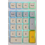 EPOMAKER TH21 21キー ホットスワップ対応 有線キーボード RGBバックライト プログラマブル XDAプロファイル PBTキーキャップ Win/Mac用 (Gateron Brown Switch, Geometry)