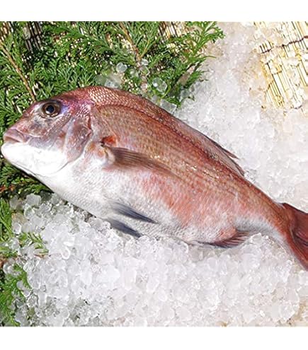 Amazon.co.jp: 築地魚群 太刀魚（たちうお）1尾（1-1.5kg） : 食品