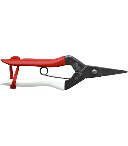 Amazon.co.jp: 昌国 白染 五葉芽つみ鋏 8005 : DIY・工具・ガーデン