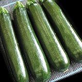 【メール便配送】　国華園　野菜たね　ズッキーニ　F1つよズッキ　1袋(10粒)【※発送が国華園からの場合のみ正規品です】