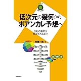 低次元の幾何からポアンカレ予想へ ~世紀の難問が解決されるまで~ (数学への招待シリーズ)