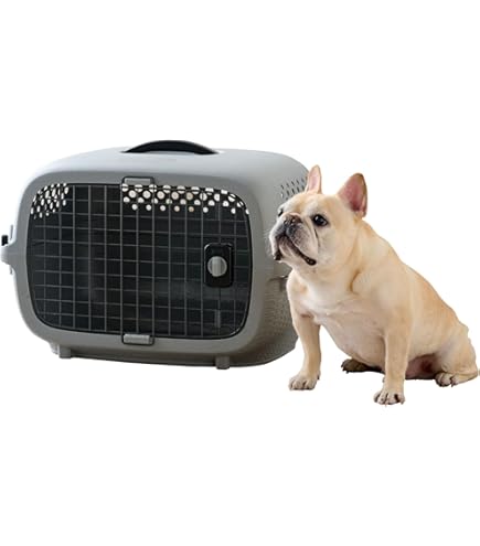 ハードキャリー 犬 クレート ハードクレート キャリー キャリーケース コンテナ 楽天市場】ハードキャリー 犬 クレート ハードクレート キャリー