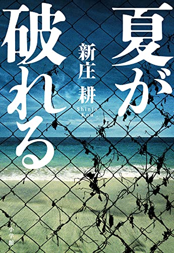 新庄耕:夏が破れる