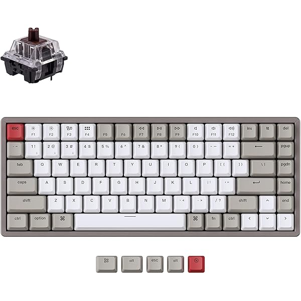 Amazon | 【国内正規品】Keychron K2 ノンバックライト ホットスワップ 