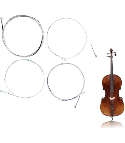 Amazon | THOMASTIK Dominant ドミナント チェロ弦セット 147 | チェロ