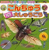 こんちゅう　101　大しゅうごう (BCキッズ 新・はじめてのずかん)