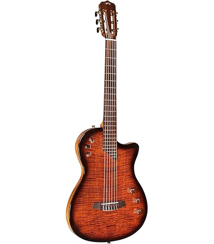 Amazon | Cordoba コルドバ STAGE GUITAR Edge Burst エレクトリック