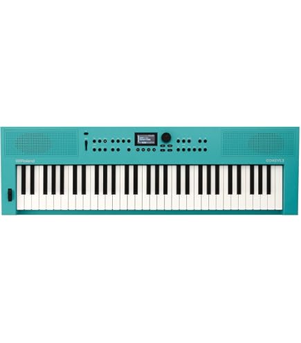 Amazon.co.jp: ローランド ROLAND E-X50 Arranger Keyboard