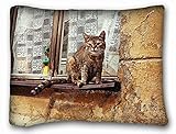Decorative標準枕ケース動物猫cat kotyara moustached Koshak kytsa 20 " * 26 " One Side 標準 ブラック VBNWO-31384