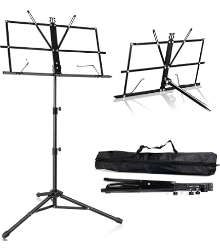 (未使用･未開封品)レーガー : ソナタと小品集 (クラリネット、ピアノ) ヘンレ出版 Amazon.co.jp: レーガー : ソナタと小品集 (クラリネット、ピアノ