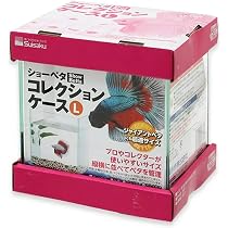 Amazon | 水作 ガラス 水槽 ショーベタ コレクションケース L サイズ