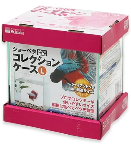 Amazon | 水作 ショーベタ コレクションケース М ベタ ガラス水槽 小型