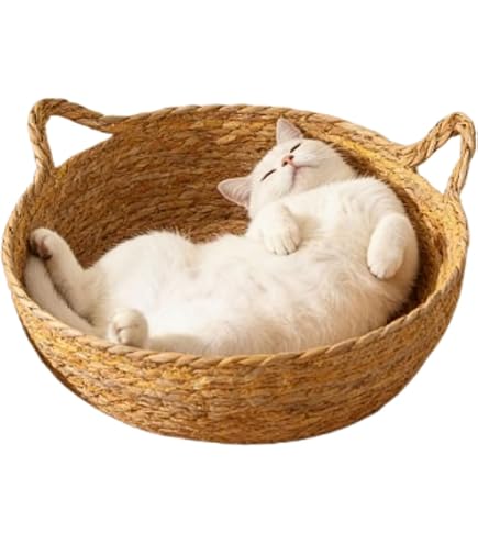 Amazon.co.jp: BDHD 猫用バスケットベッド - 室内猫と小型犬用の大きな
