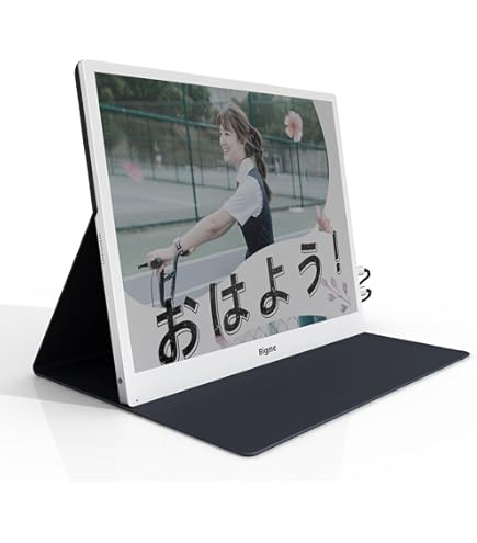 Amazon.co.jp: Bigme B251 25.3 インチ 電子インクディスプレイ