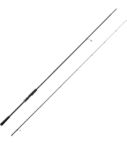 Amazon | AbuGarcia (アブガルシア) ソルティースタイル フラット