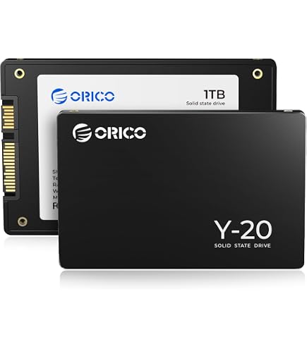 Biwin M100 1TB 2.5