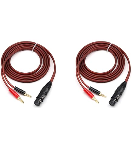 ゼンハイザー バランスケーブル CH800S【国内正規品】 Amazon | SENNHEISER バランスXLRケーブル HD800、HD800S、HD820