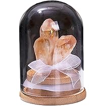 【期間限定】クリスタル 幸せのカバ カバの小物入れ 透明 水晶 Amazon.co.jp: Sugarello クリスタル 水晶 天然石 オレンジ水晶