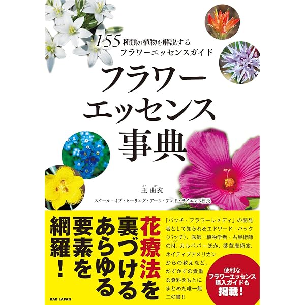 バッチフラワーエッセンスクラシック使用あり38本ボックス 大自然から 