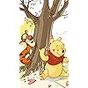 ティガー,プーさん。 ディズニー - ティガー,プーさん。 XFVGA(480×854)壁紙 6826