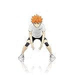 ハイキュー!! iPhoneSE/5s/5c/5(640×1136)壁紙 日向翔陽 (ひなたしょうよう) ハイキュー!! iPhoneSE/5s/5c/5(640×1136)壁紙 日向翔陽 (ひなたしょうよう)