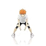 ハイキュー!! HD(720×1280)壁紙 日向翔陽 (ひなたしょうよう) ハイキュー!! HD(720×1280)壁紙 日向翔陽 (ひなたしょうよう)