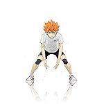 ハイキュー!! フルHD(1080×1920)スマホ壁紙/待受 日向翔陽 (ひなたしょうよう) ハイキュー!! フルHD(1080×1920)スマホ壁紙/待受 日向翔陽 (ひなたしょうよう)