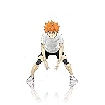 ハイキュー!! iPhone8,7,6 Plus 壁紙(1242×2208) 日向翔陽 (ひなたしょうよう) ハイキュー!! iPhone8,7,6 Plus 壁紙(1242×2208) 日向翔陽 (ひなたしょうよう)