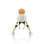 ハイキュー!! XFVGA(480×854)壁紙 日向翔陽 (ひなたしょうよう) ハイキュー!! XFVGA(480×854)壁紙 日向翔陽 (ひなたしょうよう)