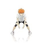 ハイキュー!! QHD(540×960)壁紙 日向翔陽 (ひなたしょうよう) ハイキュー!! QHD(540×960)壁紙 日向翔陽 (ひなたしょうよう)