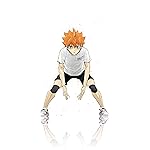 ハイキュー!! iPhone 15,14,13,12,11,X 壁紙(1125x2436) 日向翔陽 (ひなたしょうよう) ハイキュー!! iPhone 15,14,13,12,11,X 壁紙(1125x2436) 日向翔陽 (ひなたしょうよう)