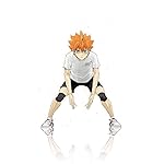 ハイキュー!! iPhone(640×960)壁紙 日向翔陽 (ひなたしょうよう) ハイキュー!! iPhone(640×960)壁紙 日向翔陽 (ひなたしょうよう)