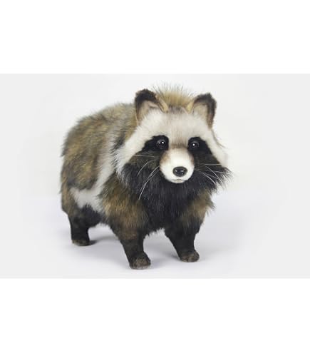 Amazon.co.jp: タヌキとキツネ すやすやフレンドおうちでリラックス 