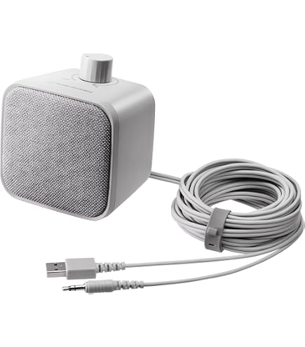 Amazon.co.jp: Teragaki Speaker TERRA-SP300 New Type : Electronics