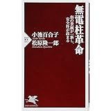 無電柱革命 街の景観が一新し、安全性が高まる (PHP新書)
