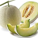 美味いとこどり お中元 高知県産(旬な時期により茨城県産、静岡県産を発送することもございます。) メロン 完熟 高級 赤秀A ※野菜ソムリエ監修 熨斗対応可能 (マスクメロン)