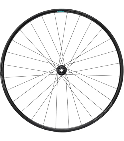 Amazon | Mavic Aksium ディスクホイール Front, 12x100, CL | MAVIC 