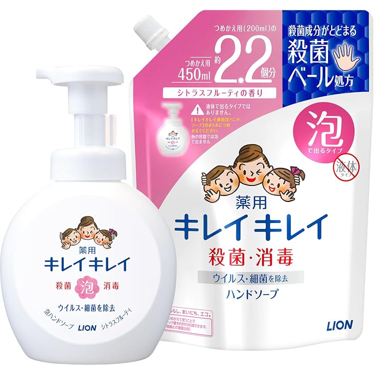 【使い捨て】単品24個セット ライオンハイジーン キレイキレイ泡ハンドソ―プ フロ―ラルソ―プの香り4L 代引不可