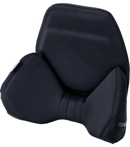 EXGEL ハグドライブ バック クッション 自動車用