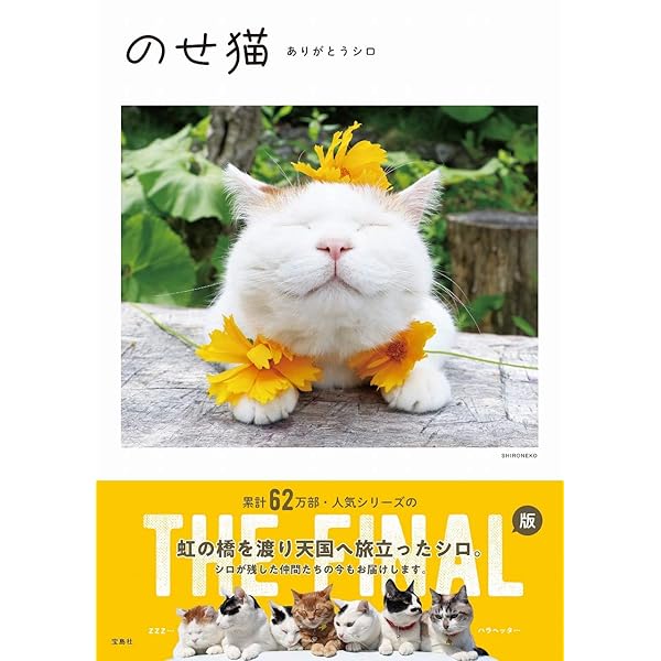 Amazon.co.jp: のせ猫～かご猫シロと3匹の仲間たち : SHIRONEKO: 本
