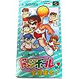 くにおくんのドッジボールだよ全員集合!