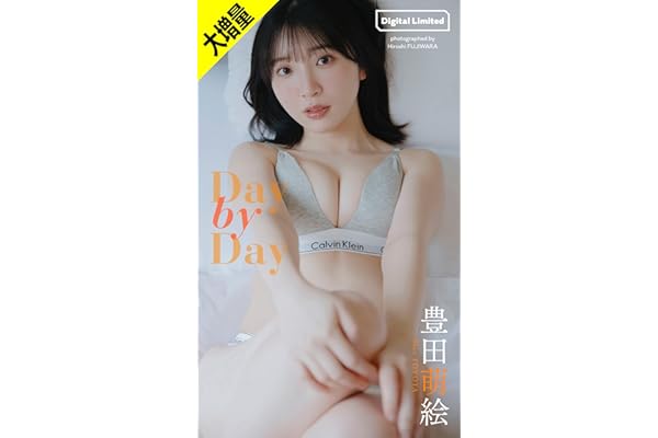 【大増量】豊田萌絵写真集「Day by Day」 (週プレ PHOTO BOOK)