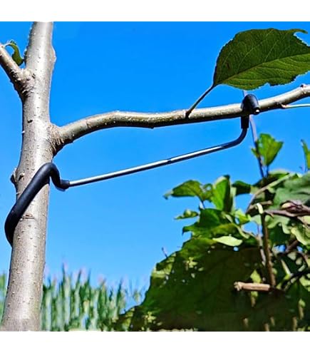 Alblinsy Fruit Tree Branch Puller Set – 24-Pack Iron Branch Benders For Apple, Cherry, Plum Trees - View #10