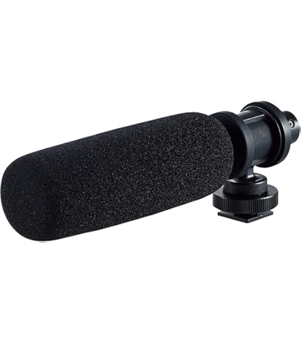 Amazon.co.jp: 【国内正規品】 MIRFAK Audio ショットガンマイク NP10 