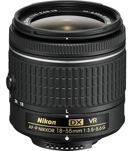 Amazon.co.jp: Nikon 望遠ズームレンズ AF-P DX NIKKOR 70-300mm f/4.5 