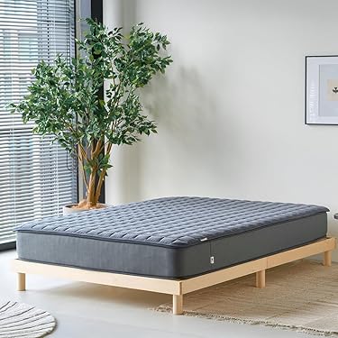 Amazon.co.jp 最新リリース: ベッドパッド・敷きパッド の新着